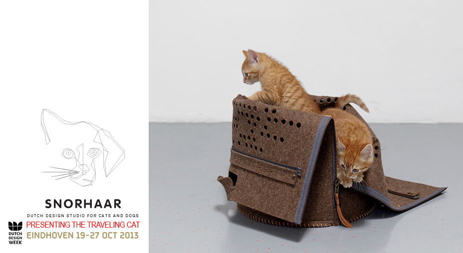 Snorhaar_presenting_DDW